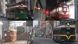 【今年もモ161形4両同時運行へ‼️】2023.5.5(祝・こどもの日) 阪堺電車モ161形161号,166号臨時運行,162号土休日定期運行