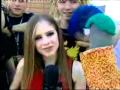 Avril Lavigne Ed the Sock Interview 2002