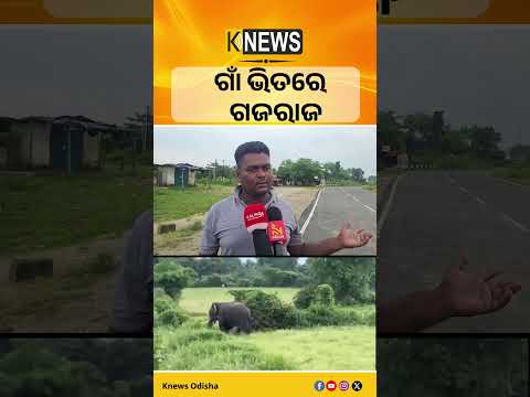 ହଦଗଡ଼ରୁ ବାହାରି ଆନନ୍ଦପୁର ମୁହାଁ, କୁମୁଣିଆରେ ଦନ୍ତାର ଆତଙ୍କ | Knews Odisha