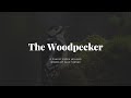Nature Poem | The Woodpecker | Wildlife Photography