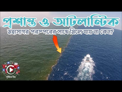 ভিডিও: অর্ধচন্দ্র উপসাগরের সৈকত কি বন্ধ?