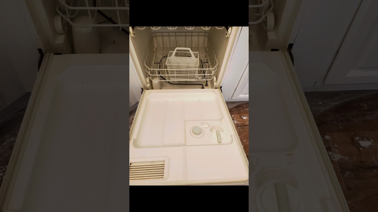 diswashier deep cleaning YouTube