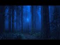 Rain and Thunder for Sleep and Relaxation in the Lonely Forest