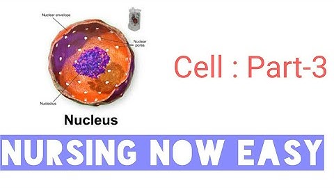Cell structure & functions Part-3