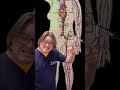 Genital lymphedema is very real thing.  We need to talk about it!