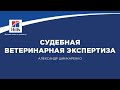 Вебинар на тему: "Процессуальные вопросы судебной ветеринарной экспертизы в России".