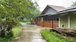 Heavy Rain in Beautiful Rural Areas in Indonesia | Refreshing Natural Rain | Rain Sound For Sleeping