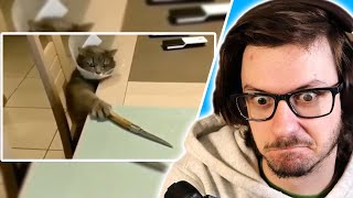 UNUSUAL MEMES COMPILATION V182 | Daxellz Reacts
