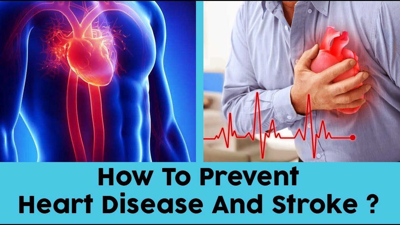 essay on how to prevent heart disease