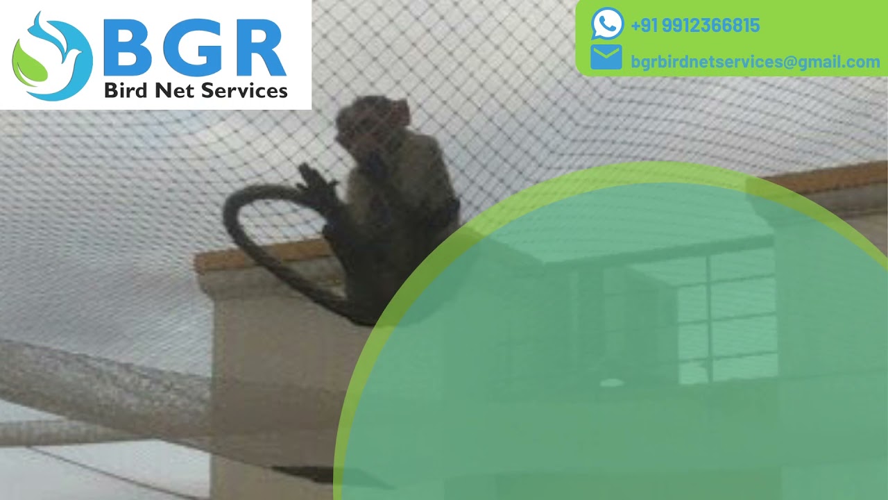 Monkey Safety Nets in Hyderabad | Residential Monkey Safety Nets  Hyderabad