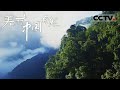 《美丽中国自然》 云巅神迹：独龙族与云南铁杉的自然赞歌 山水岁月系列【CCTV纪录】
