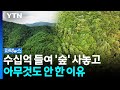 평생 번 돈으로 산 '숲'...보호구역 지정 자청한 주인 [자막뉴스] / YTN