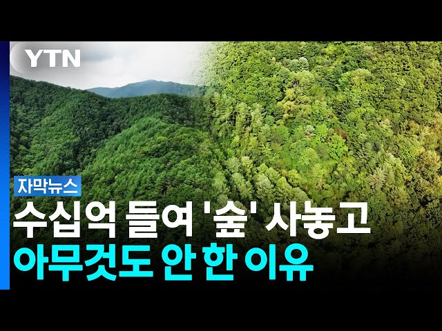 평생 번 돈으로 산 '숲'...보호구역 지정 자청한 주인 [자막뉴스] / YTN