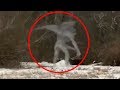 10 Criaturas Misteriosas Grabadas En Video