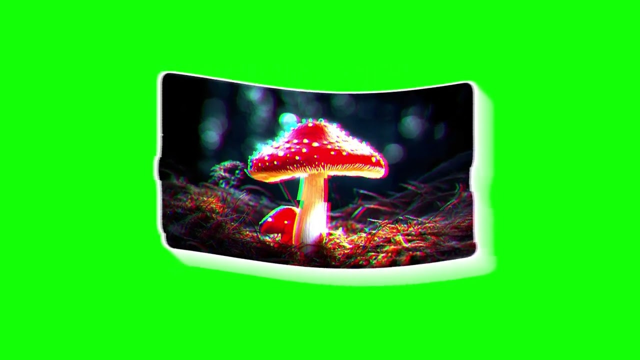 Amanita Frow