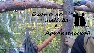 Отчет о поездке на охоту на медведя в Архангельскую область(Bear Hunt in the Arkhangelsk Region)(Здесь вы не увидите какой то конкретики, если вам нужен факт добычи медведя, то здесь его нет. Если нужна..., 2015-09-02T19:44:01.000Z)