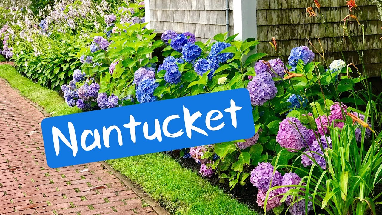 Nantucket Downtown and Beautiful  Hydrangeas, July 2019