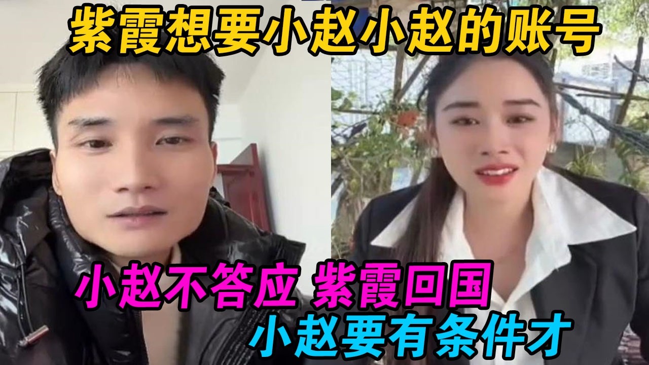 紫霞想要小赵小赵的账号，小赵不答应，紫霞回国，小赵要有条件才 #小赵紫霞 #小赵 #紫霞 #越南紫霞