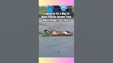 Just Follow a Proven Process to Make Daily Pay- No Tech Skills Needed!