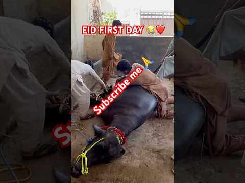 Eid first day
