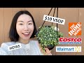 LUCKY Finds at Walmart, Home Depot & Costco: $10 VSOP, Hoyas, SOT, Hanging Baskets, Etc.