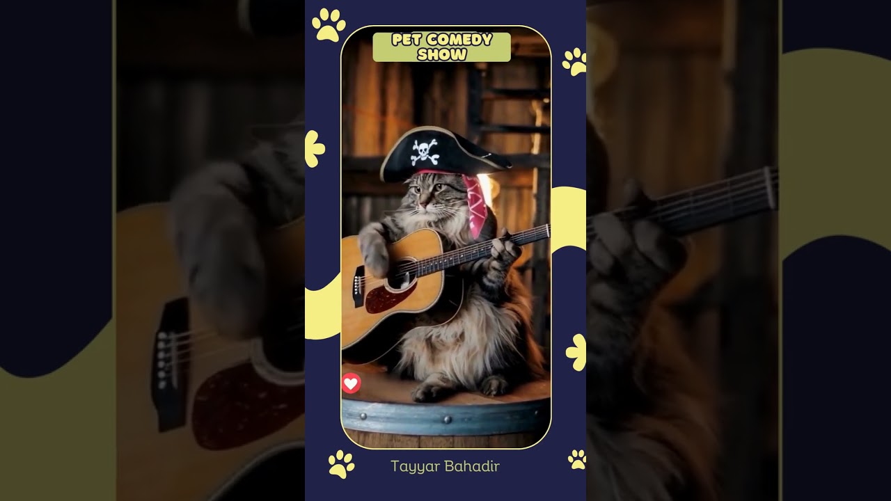 🎸 Die Katze, die Gitarre spielt: Ein musikalisches Tierwunder