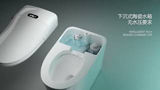 Ta425 Monarch Bidet Built In Skirted Toilets