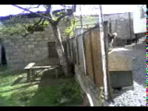 micky (ჩვენი მიკია)