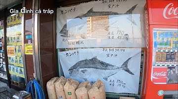 Đầu tư hẳn 1000 yên mua tôm sống đi câu cá và cái kết bất ngờ | Gia Đình Cá Tráp