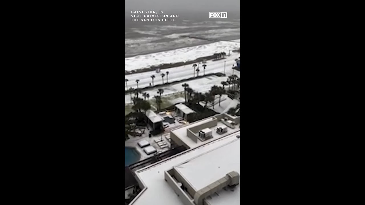 Winter storm brings rare snow to the Gulf Coast