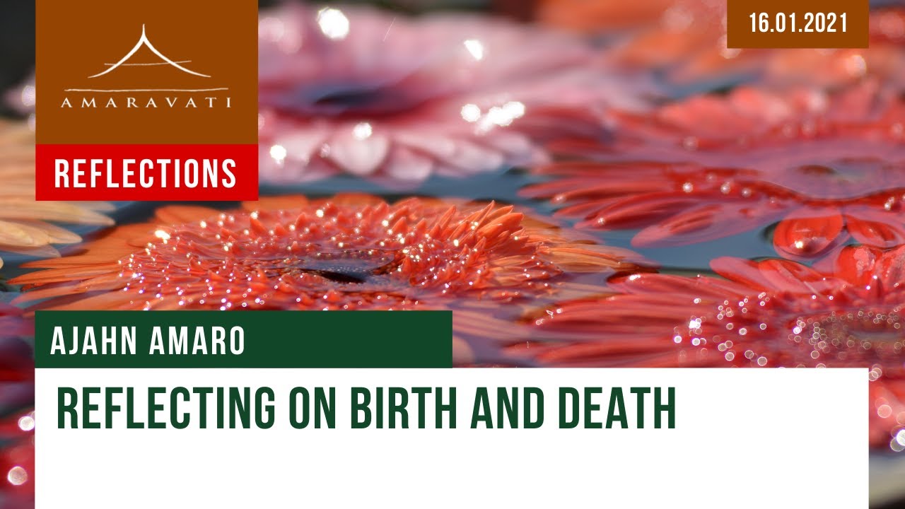 Reflecting On Birth And Death | Dhamma Reflection | 16.01.2021