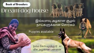 Belgian malinois | Dogs Puppies for sale at budget | Puppy price | Kennel in tamilnadu | Coimbatore by Book of breeders 17,457 views 8 months ago 10 minutes, 46 seconds