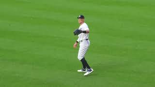 Bleacher Creatures Roll Call | Yankees vs. Tampa Bay Rays 8/16/22