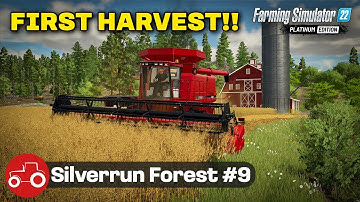 First Harvest Of Our Fields Silverrun Forest Farming Simulator 22 Let