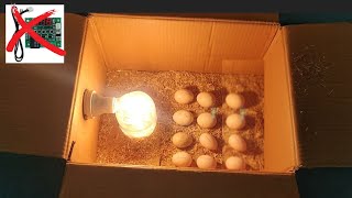 Homemade Egg Incubator Very Easy || Only bulb