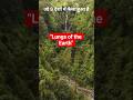 Amazon Rainforest Facts | “World’s Largest Forest” #LungsOfTheEarth #YouTubeShorts