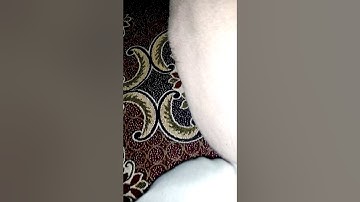 Ch#12 Communication and Transport Class #iv