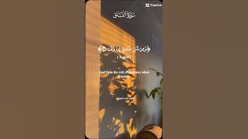 سورة الفلق❤️ #القرآن_الكريم #quran