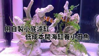 用自己DIY的底濾小缸開一個低成本的小海缸養小丑魚海缸養魚原來這麼簡單【水世界水族馆】