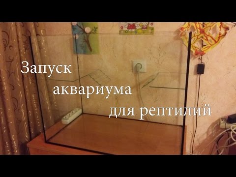 Вопрос: Как подготовить аквариум для черепахи?