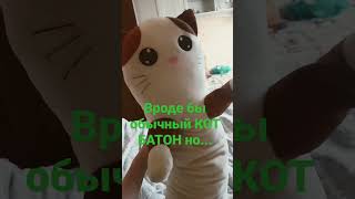 а вы чё думали? до конца #3008roblox #подпишись #котик