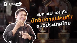 “HOW TO ชิมกาแฟ” กับนักชิมกาแฟคนที่ 7 ของเมืองไทย | Sauce Mini