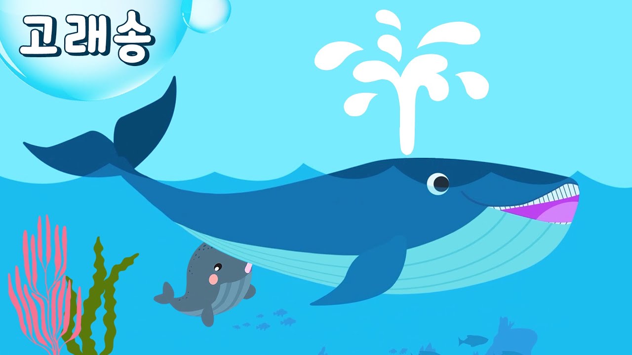 Китовая песня Детская песня Детские стишки образование