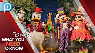 🗞 Disneyland Paris NEWS | What You NEED to Know Today ! September 8, 2026