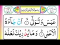 80 surah abasa pani patti tilawat arabic text  learn quran live