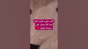 القرآن الكريم #explore #اكسبلور #explorepage #اسلام_صبحي