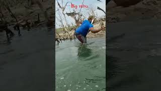 Unbelievable Big Rohu fishing #youtubeshorts #shorts