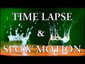 Learn fundamentals of timelapses slow motion and how movies are made  learnability