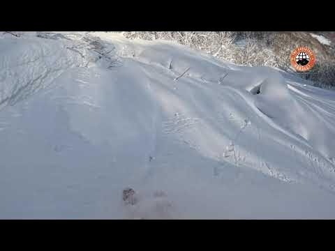 Why “JAPOW” - POWDER SNOW HOKKAIDO