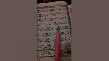 تلاوة قصيرة سورة القيامة{القرآن الكريم الشيخ ماهر المعيقلي }صلوا على النبي واذكر الله #quran